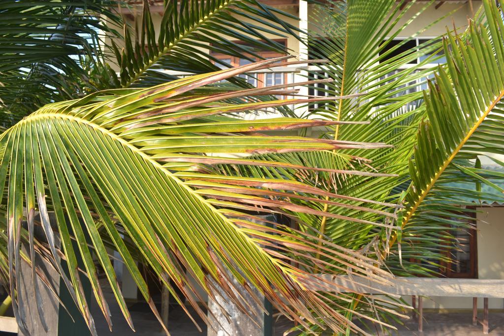 Beach Arthur Villa Galle Extérieur photo